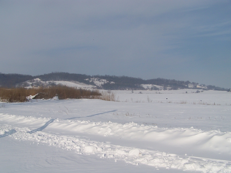 2012.02.09. 033.jpg